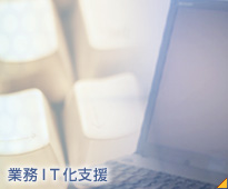 業務ＩＴ化支援